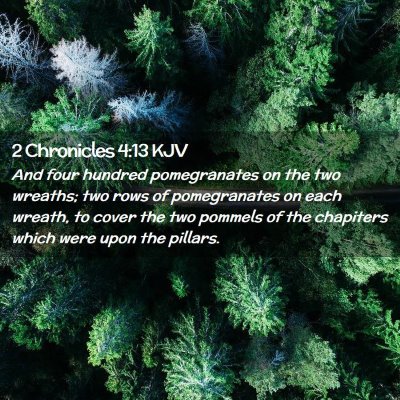 Picture 02 - 2 Chronicles 4:13 KJV - And four hundred pomegranates on the two wreaths; - Bible Verse Picture