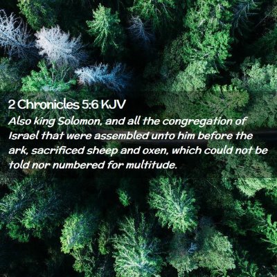 Picture 02 - 2 Chronicles 5:6 KJV - Also king Solomon, and all the congregation of - Bible Verse Picture