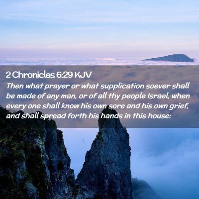 Picture 02 - 2 Chronicles 6:29 KJV - Then what prayer or what supplication soever - Bible Verse Picture