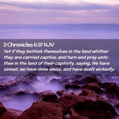 Picture 02 - 2 Chronicles 6:37 KJV - Yet if they bethink themselves in the land - Bible Verse Picture