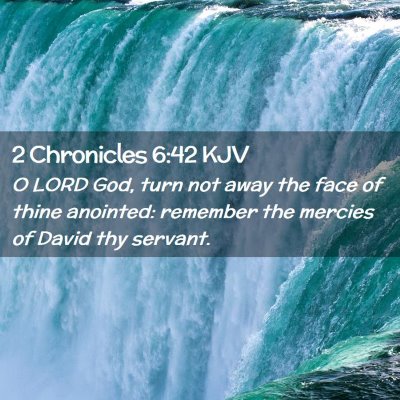 Picture 02 - 2 Chronicles 6:42 KJV - O LORD God, turn not away the face of thine - Bible Verse Picture