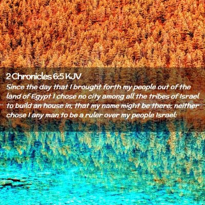 Picture 02 - 2 Chronicles 6:5 KJV - Since the day that I brought forth my people out - Bible Verse Picture