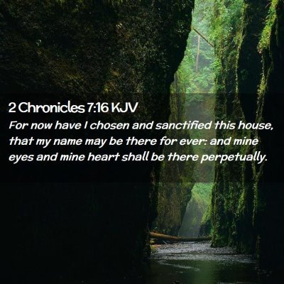 Picture 02 - 2 Chronicles 7:16 KJV - For now have I chosen and sanctified this house, - Bible Verse Picture