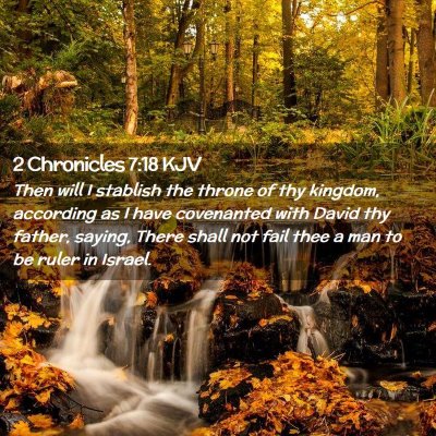 Picture 02 - 2 Chronicles 7:18 KJV - Then will I stablish the throne of thy kingdom, - Bible Verse Picture