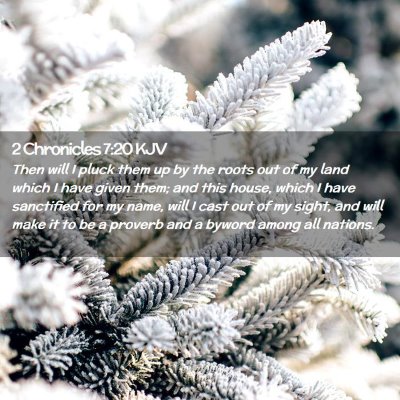 Picture 02 - 2 Chronicles 7:20 KJV - Then will I pluck them up by the roots out of my - Bible Verse Picture