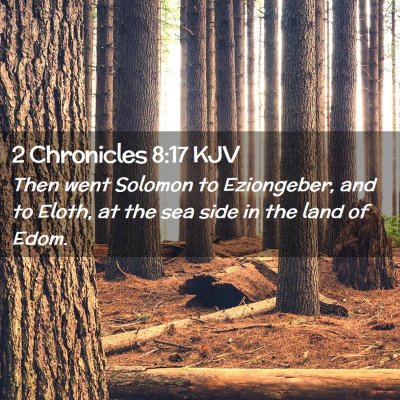 Picture 02 - 2 Chronicles 8:17 KJV - Then went Solomon to Eziongeber, and to Eloth, at - Bible Verse Picture