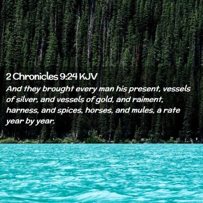 Picture 02 - 2 Chronicles 9:24 KJV - And they brought every man his present, vessels - Bible Verse Picture