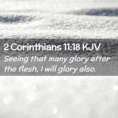 Picture 02 - 2 Corinthians 11:18 KJV - Seeing that many glory after the flesh, I will - Bible Verse Picture