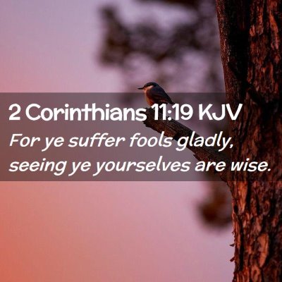 Picture 02 - 2 Corinthians 11:19 KJV - For ye suffer fools gladly, seeing ye yourselves - Bible Verse Picture