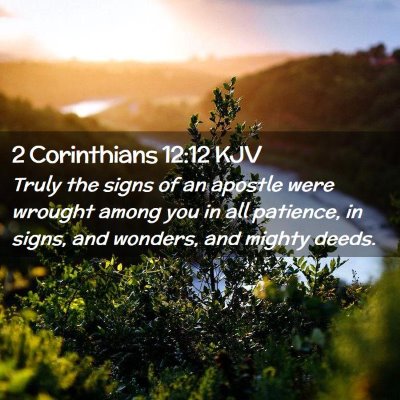 Picture 02 - 2 Corinthians 12:12 KJV - Truly the signs of an apostle were wrought among - Bible Verse Picture