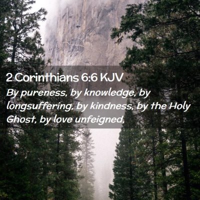 Picture 02 - 2 Corinthians 6:6 KJV - By pureness, by knowledge, by longsuffering, by - Bible Verse Picture