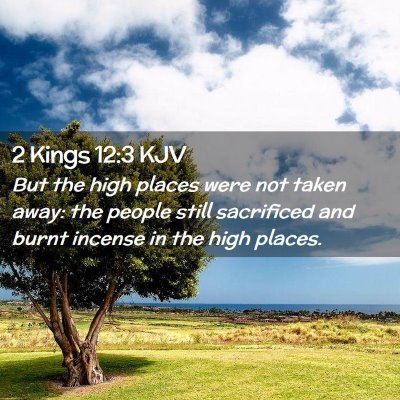 Picture 02 - 2 Kings 12:3 KJV - But the high places were not taken away: the - Bible Verse Picture
