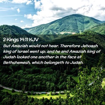 Picture 02 - 2 Kings 14:11 KJV - But Amaziah would not hear. Therefore Jehoash - Bible Verse Picture
