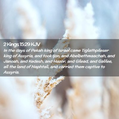 Picture 02 - 2 Kings 15:29 KJV - In the days of Pekah king of Israel came - Bible Verse Picture