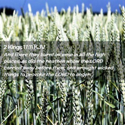 Picture 02 - 2 Kings 17:11 KJV - And there they burnt incense in all the high - Bible Verse Picture