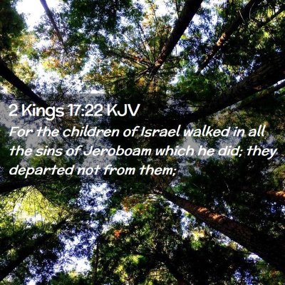 Picture 02 - 2 Kings 17:22 KJV - For the children of Israel walked in all the sins - Bible Verse Picture