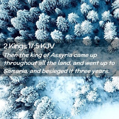 Picture 02 - 2 Kings 17:5 KJV - Then the king of Assyria came up throughout all - Bible Verse Picture