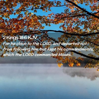 Picture 02 - 2 Kings 18:6 KJV - For he clave to the LORD, and departed not from - Bible Verse Picture