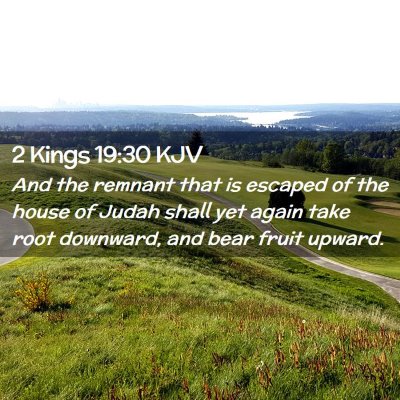 Picture 02 - 2 Kings 19:30 KJV - And the remnant that is escaped of the house of - Bible Verse Picture