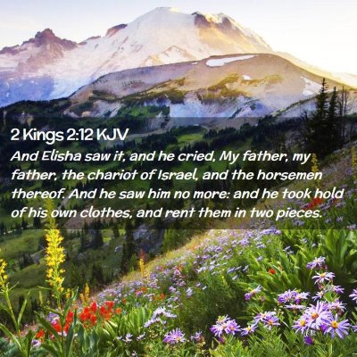 Picture 02 - 2 Kings 2:12 KJV - And Elisha saw it, and he cried, My father, my - Bible Verse Picture