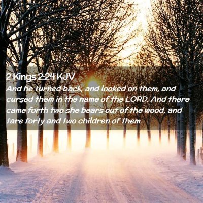 Picture 02 - 2 Kings 2:24 KJV - And he turned back, and looked on them, and - Bible Verse Picture