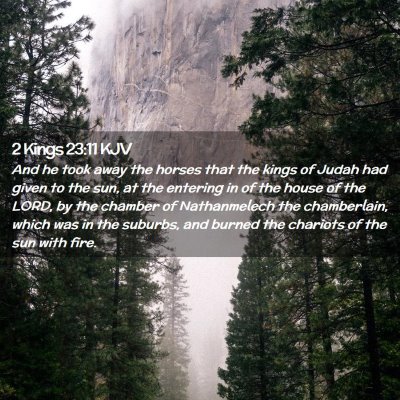 Picture 02 - 2 Kings 23:11 KJV - And he took away the horses that the kings of - Bible Verse Picture