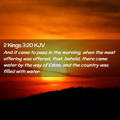 Picture 02 - 2 Kings 3:20 KJV - And it came to pass in the morning, when the meat - Bible Verse Picture