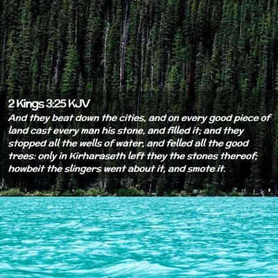 Picture 02 - 2 Kings 3:25 KJV - And they beat down the cities, and on every good - Bible Verse Picture
