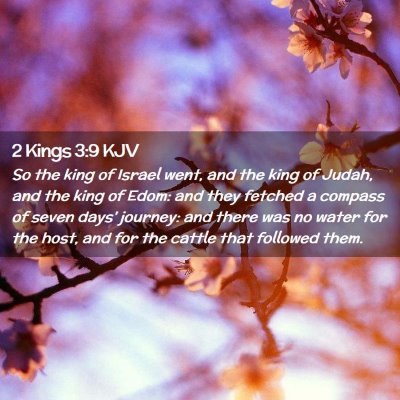Picture 02 - 2 Kings 3:9 KJV - So the king of Israel went, and the king of - Bible Verse Picture