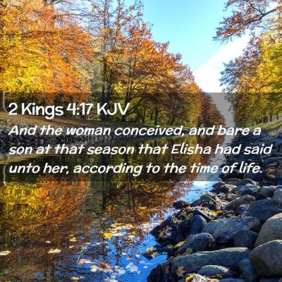 Picture 02 - 2 Kings 4:17 KJV - And the woman conceived, and bare a son at that - Bible Verse Picture