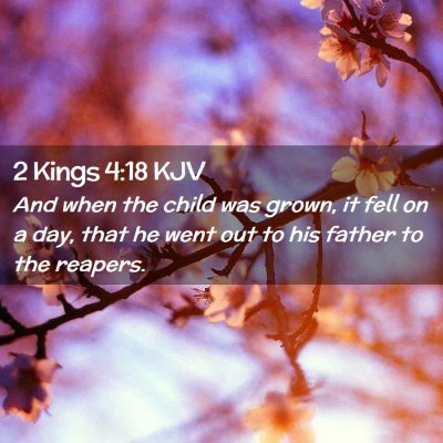 Picture 02 - 2 Kings 4:18 KJV - And when the child was grown, it fell on a day, - Bible Verse Picture