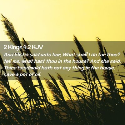 Picture 02 - 2 Kings 4:2 KJV - And Elisha said unto her, What shall I do for - Bible Verse Picture