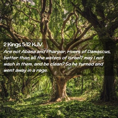 Picture 02 - 2 Kings 5:12 KJV - Are not Abana and Pharpar, rivers of Damascus, - Bible Verse Picture