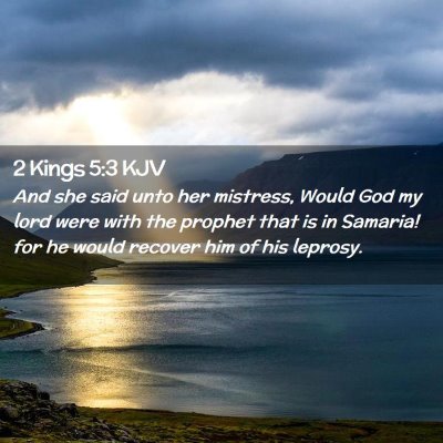 Picture 02 - 2 Kings 5:3 KJV - And she said unto her mistress, Would God my lord - Bible Verse Picture