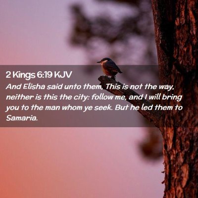Picture 02 - 2 Kings 6:19 KJV - And Elisha said unto them, This is not the way, - Bible Verse Picture