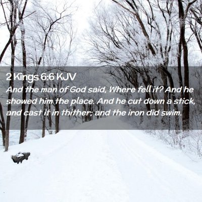 Picture 02 - 2 Kings 6:6 KJV - And the man of God said, Where fell it? And he - Bible Verse Picture
