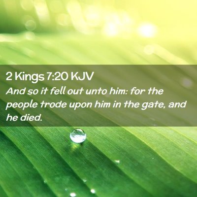Picture 02 - 2 Kings 7:20 KJV - And so it fell out unto him: for the people trode - Bible Verse Picture
