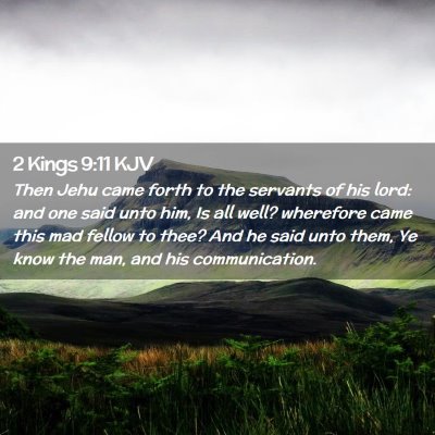 Picture 02 - 2 Kings 9:11 KJV - Then Jehu came forth to the servants of his lord: - Bible Verse Picture