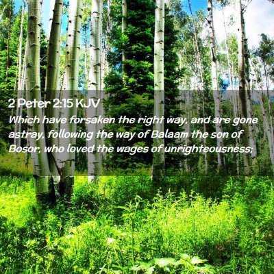 Picture 02 - 2 Peter 2:15 KJV - Which have forsaken the right way, and are gone - Bible Verse Picture