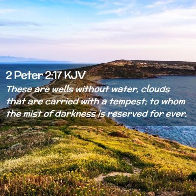 Picture 02 - 2 Peter 2:17 KJV - These are wells without water, clouds that are - Bible Verse Picture