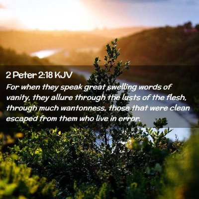 Picture 02 - 2 Peter 2:18 KJV - For when they speak great swelling words of - Bible Verse Picture