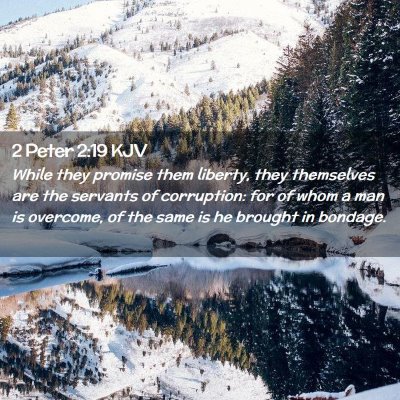 Picture 02 - 2 Peter 2:19 KJV - While they promise them liberty, they themselves - Bible Verse Picture