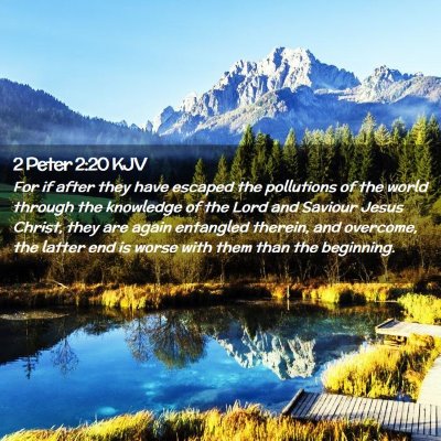 Picture 02 - 2 Peter 2:20 KJV - For if after they have escaped the pollutions of - Bible Verse Picture