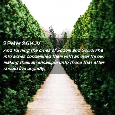 Picture 02 - 2 Peter 2:6 KJV - And turning the cities of Sodom and Gomorrha into - Bible Verse Picture