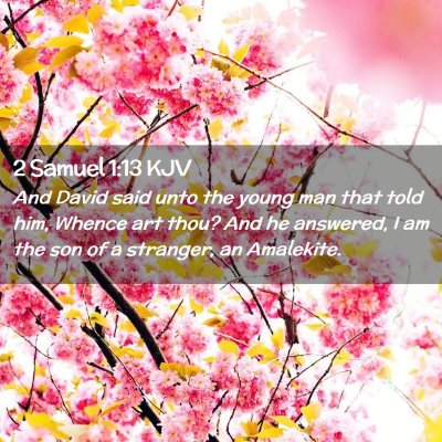Picture 02 - 2 Samuel 1:13 KJV - And David said unto the young man that told him, - Bible Verse Picture