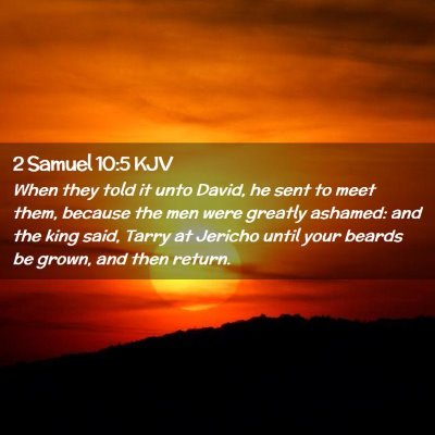 Picture 02 - 2 Samuel 10:5 KJV - When they told it unto David, he sent to meet - Bible Verse Picture