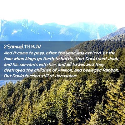 Picture 02 - 2 Samuel 11:1 KJV - And it came to pass, after the year was expired, - Bible Verse Picture