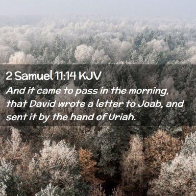 Picture 02 - 2 Samuel 11:14 KJV - And it came to pass in the morning, that David - Bible Verse Picture