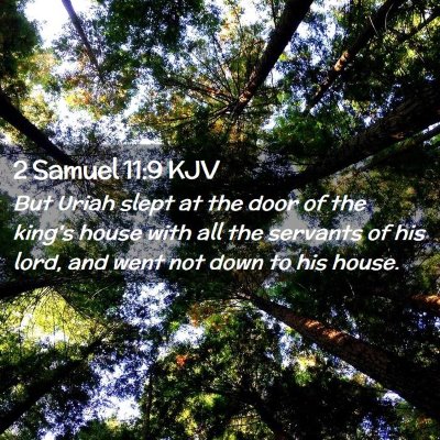 Picture 02 - 2 Samuel 11:9 KJV - But Uriah slept at the door of the king's house - Bible Verse Picture