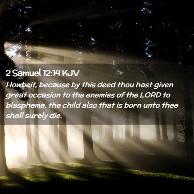 Picture 02 - 2 Samuel 12:14 KJV - Howbeit, because by this deed thou hast given - Bible Verse Picture